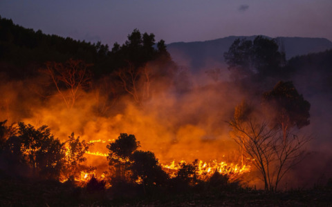Incendi e crisi idrica in Valsesia: situazione sotto controllo