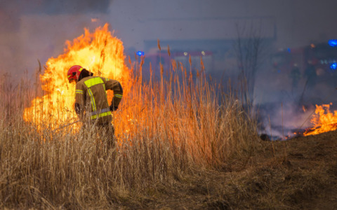 Incendi e temporali: l’estate segnata da emergenze climatiche