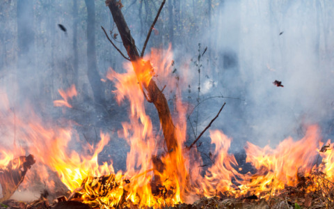 Incendio in una palazzina, evacuate diverse famiglie