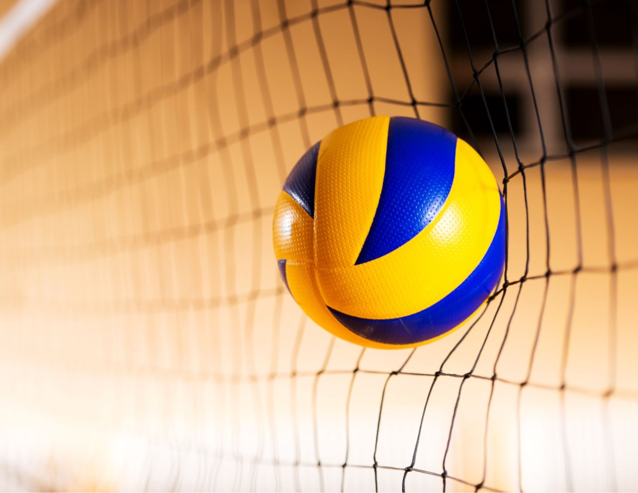 Esordi e risultati per le giovanili del volley vercellese
